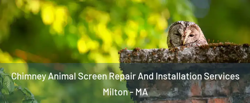  Chimney Animal Screen Repair And Installation Services Milton - MA