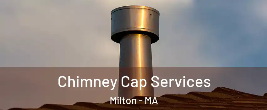  Chimney Cap Services Milton - MA