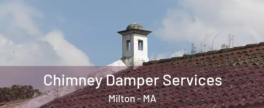  Chimney Damper Services Milton - MA
