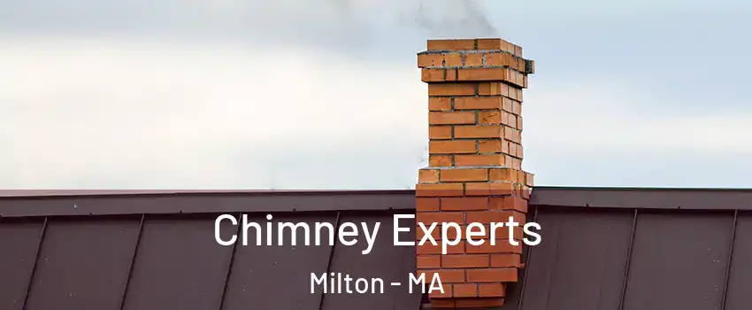 Chimney Experts Milton - MA