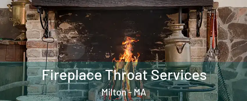  Fireplace Throat Services Milton - MA