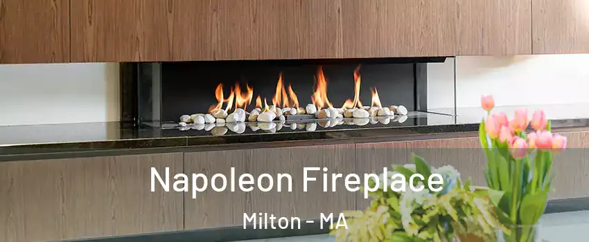  Napoleon Fireplace Milton - MA