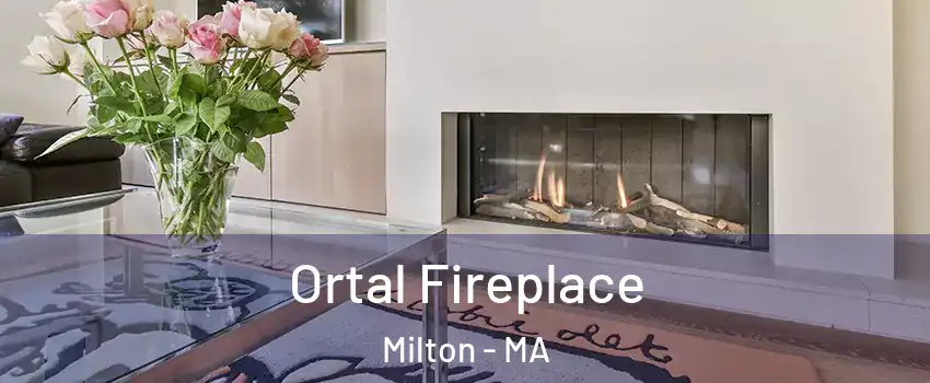 Ortal Fireplace Milton - MA